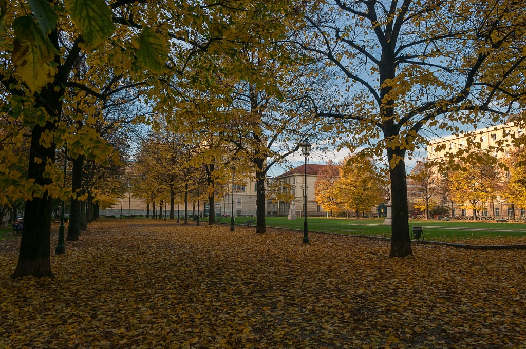 Kraków jesienią - złote liście na Plantach